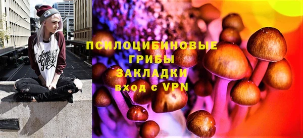 дмт Алексеевка