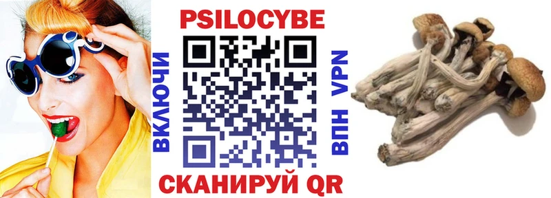 где можно купить наркотик  Серов  Галлюциногенные грибы GOLDEN TEACHER 